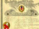 Confedertate.jpg (37009 bytes)