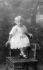wpe03323.gif (178075 bytes)
