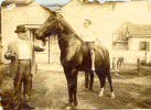 wpe07908.gif (275178 bytes)